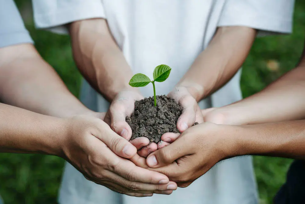 5813 Curso ISO 14001:26 – Requisitos da Norma
