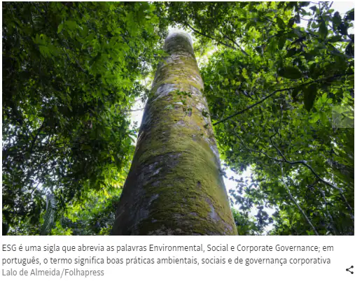 Brasileiro está mais cético sobre a agenda sustentável das empresas, diz pesquisa