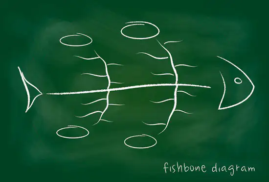 5-porques